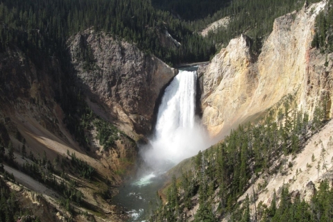 Depuis Jackson : tour de la boucle inférieure de YellowstoneVisite privée - 9 personnes maximum