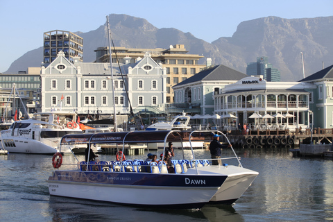 Kapstaden: hamnkryssningKryssning i hamnen vid V&amp;A Waterfront