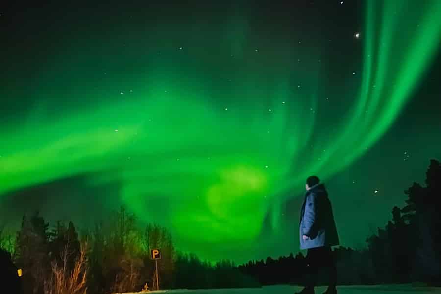 Von Rovaniemi aus: Lappländische Aurora-Jagd mit Grillparty. Foto: GetYourGuide
