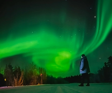 From Rovaniemi: Lapland Aurora Hunt with Barbeque