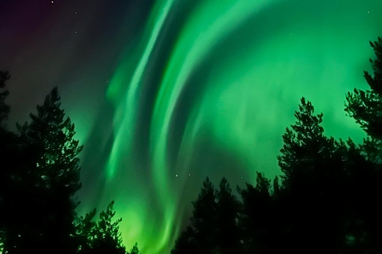 Desde Rovaniemi: Caza de Auroras en Laponia con barbacoa