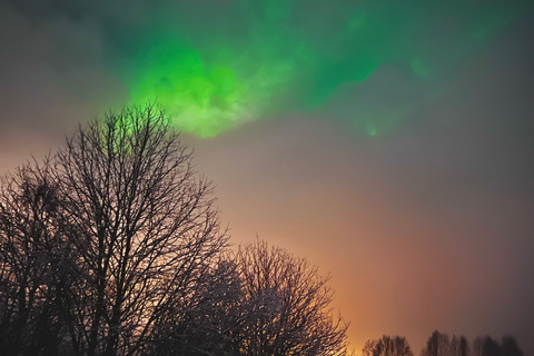 Desde Rovaniemi: Caza de Auroras en Laponia con barbacoa