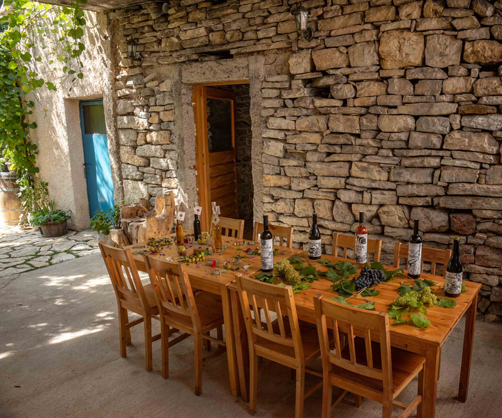 Skradin: Wine and Olive Oil Tasting in a family Winery