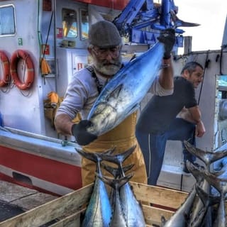 Torrevieja: Seafood Route, Fish Auction with Tasting