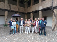 Granada, Historic Center and Lower Albaicin Walking Tour - Housity