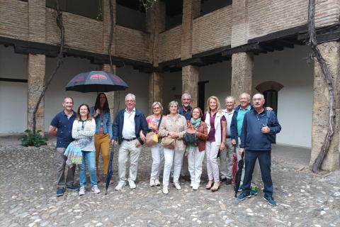 Granada: Historic Center and Lower Albaicin Walking Tour