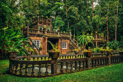 Parque Paronella: Tour diurno e noturno com vida selvagem e floresta tropical