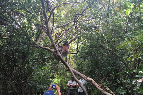 Jozani Forest & Turquoise Waters Turtle Swim at Salaam Cave TOUR WITHOUT HOTEL PICKUP AND DROP OFF