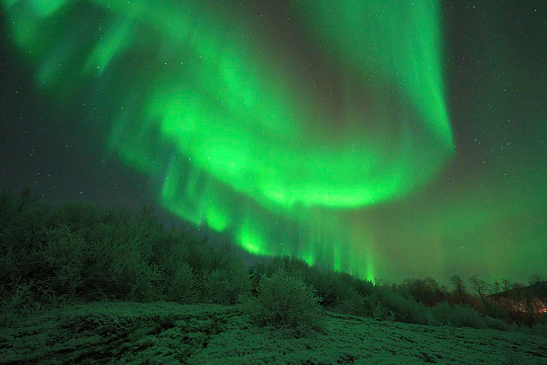 Tromsø: begeleide noorderlichtfotoachtervolging met portret