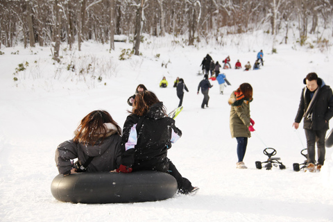 Sapporo: Snow Park, Snowmobile, and BBQ Experience D.Snowmobile package(90 minutes)