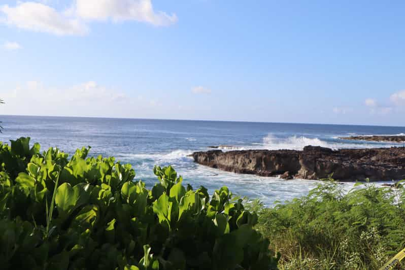 Oahu Tour Attivo Dell Isola Di Circle GetYourGuide