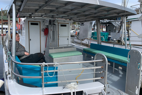 Ketchikan: Marine Wildlife and Whale Watching Boat Tour