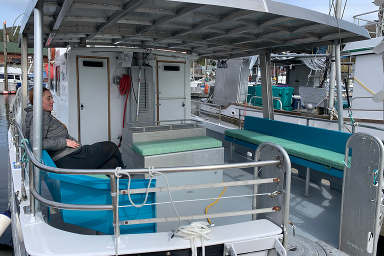 Ketchikan: Marine Wildlife and Whale Watching Boat Tour