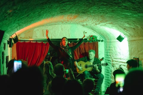 Granada: Traditional Flamenco Show in a Cave Entry Ticket