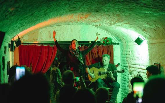 Granada: Traditionelle Flamenco-Show in einer Höhle