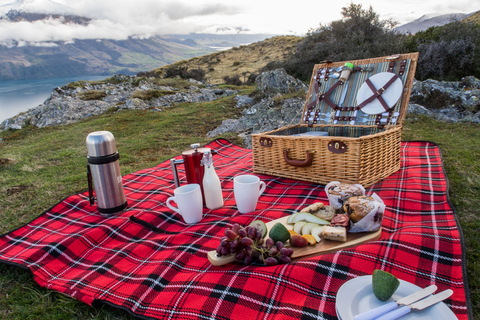 Wanaka: Mount Burke 4x4 Explorer and Boat Tour