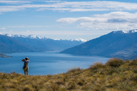 Wanaka: Mount Burke 4x4 Explorer and Boat Tour