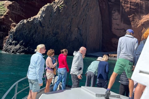 Akaroa: Scenic Coastline Wildlife Cruise