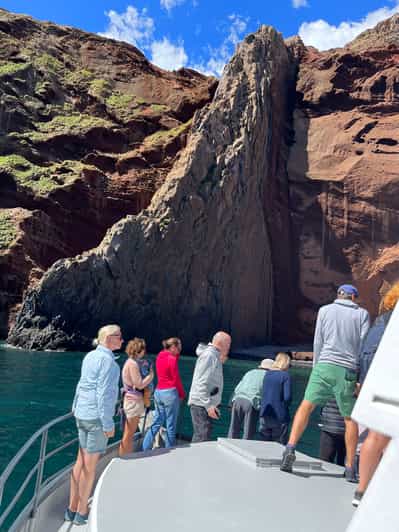 Akaroa: Scenic Coastline Wildlife Cruise