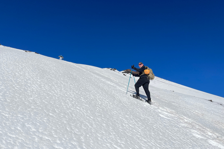 Mount Etna: Vandringstur till vulkanens kratrar