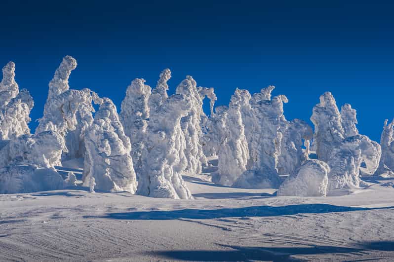 From Prague Guided Snowshoe Tour with Mountain Views GetYourGuide