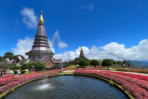 Chiang Mai: Doi Inthanon National Park & Elephant Sanctuary Group Tour with Hotel Pickup