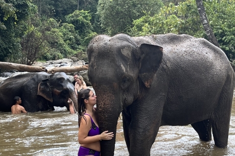 Chiang Mai: Doi Inthanon National Park & Elephant Sanctuary Group Tour with Hotel Pickup