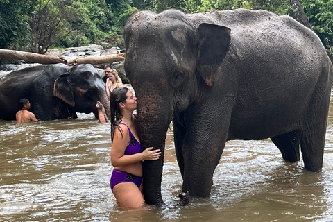 Chiang Mai: Doi Inthanon i wycieczka do sanktuarium słoniMiejsce zbiórki