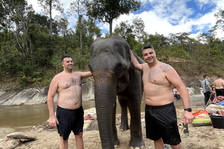Chiang Mai : Parc national de Doi Inthanon et sanctuaire des éléphantsVisite de groupe avec point de rencontre