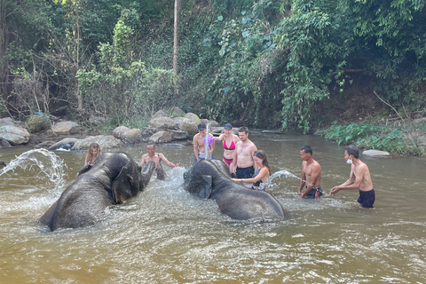 Chiang Mai: Excursão a Doi Inthanon e ao Santuário de ElefantesServiço de busca no hotel