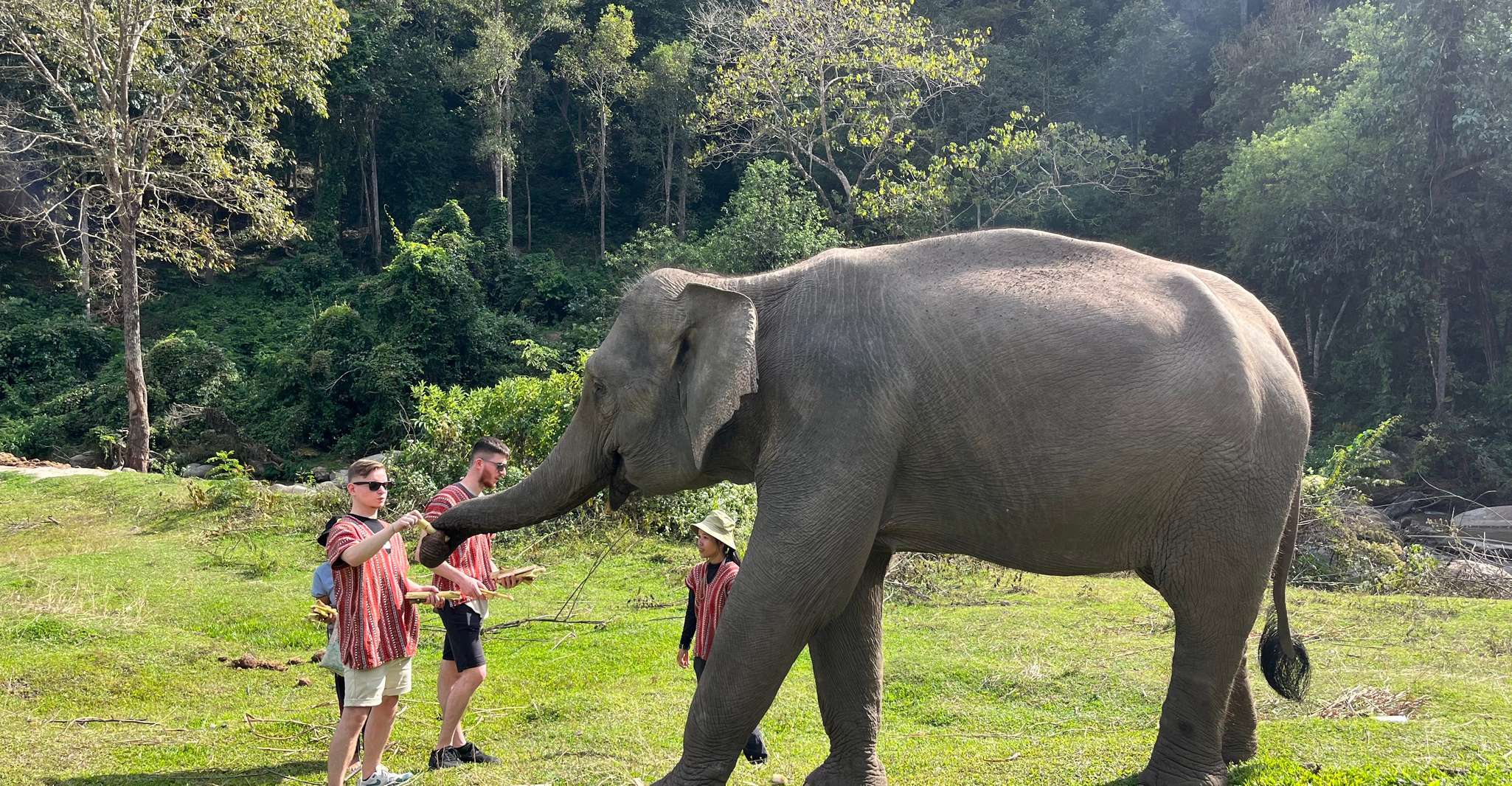 Chiang Mai, Doi Inthanon and Elephant Sanctuary Tour - Housity