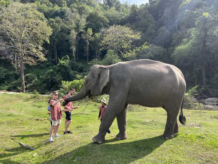 doi inthanon tour elephant sanctuary trekking trail