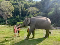 Chiang Mai, Doi Inthanon et Elephant Sanctuary Tour - Housity