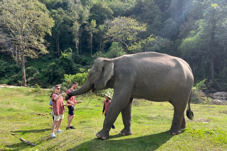 Chiang Mai: Nationaal park Doi Inthanon en olifantenreservaatGroepsreis met ontmoetingspunt