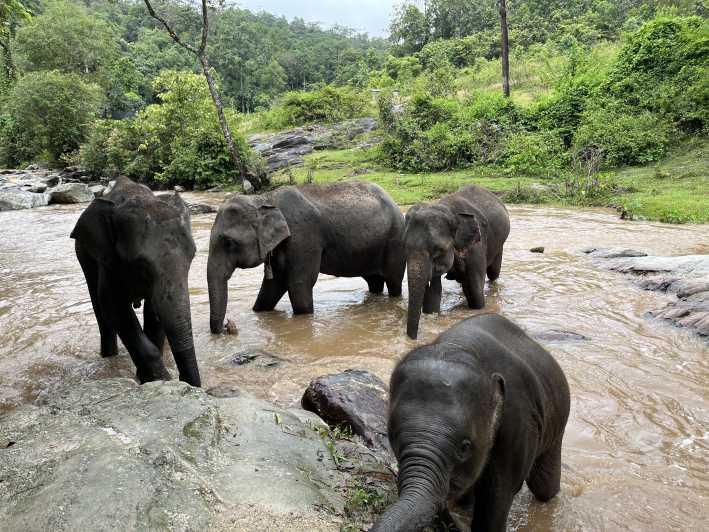 Chiang Mai: Doi Inthanon National Park & Elefantenschutzgebiet