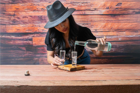 Tour privado a pie por Oaxaca con degustación de mezcal