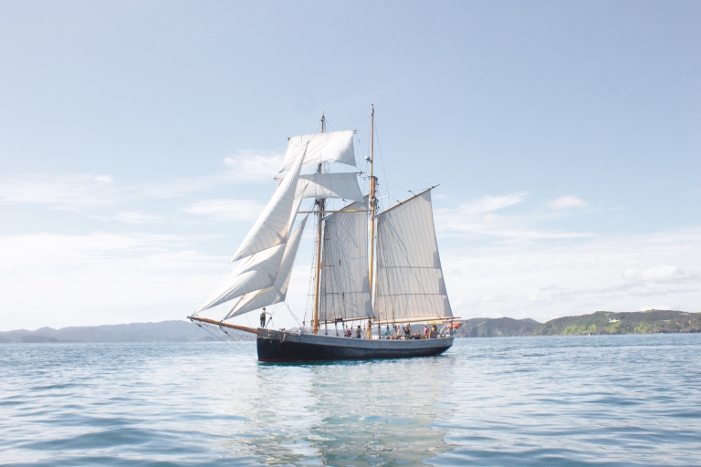 Baie des Îles : Excursion d'une journée complète en voilier Tall Ship