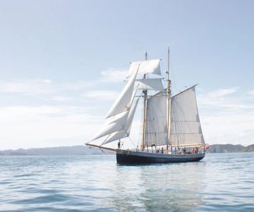 Bay of Islands: Full-Day Tall Ship Sailing Excursion