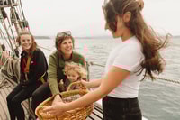 Bay of Islands, Full-Day Tall Ship Sailing Excursion - Housity