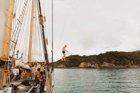 Bay of Islands: zeilexcursie van een hele dag op een groot schip