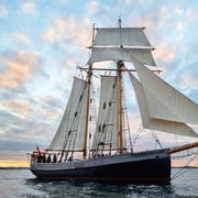 Bay of Islands: Late Afternoon Sailing Cruise