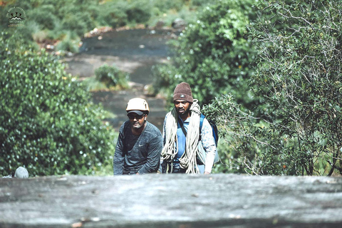 Sinharaja Rain Forest UNESCO Walk and Bird Watching Day Tour Sinharaja Endemics: Rain Forest UNESCO Bird Watching Day