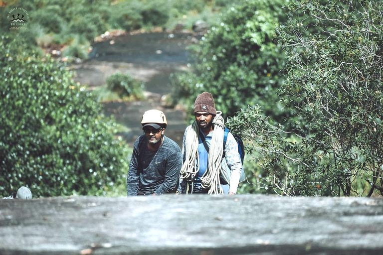 Sinharaja Rain Forest UNESCO Walk and Bird Watching Day Tour Sinharaja Endemics: Rain Forest UNESCO Bird Watching Day