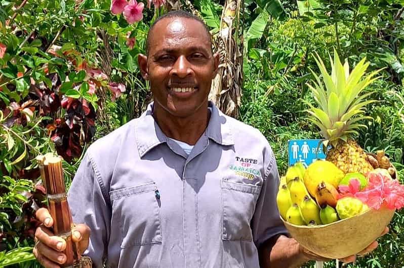 Taste of Jamaica Farm & Food Tour GetYourGuide