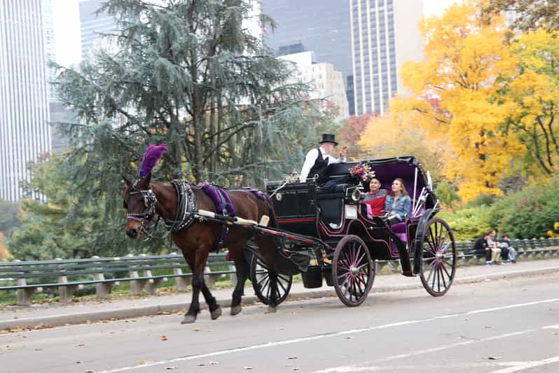 New York City Private Horse Carriage Ride in Central Park GetYourGuide