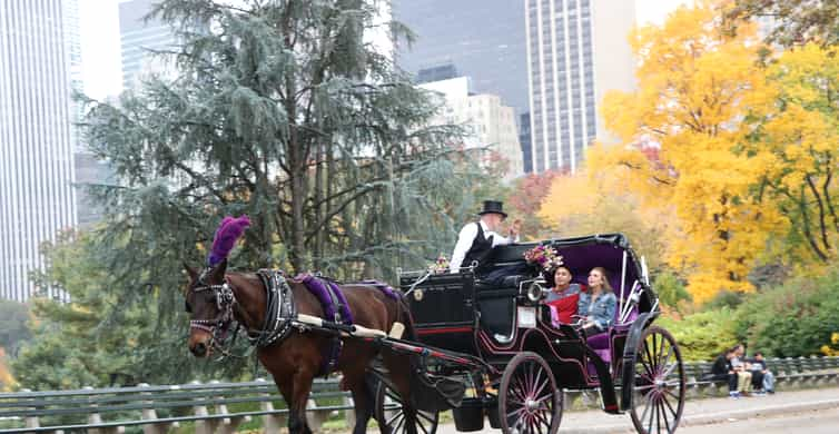 Manhattan: VIP Private Horse Carriage Ride in Central Park | GetYourGuide