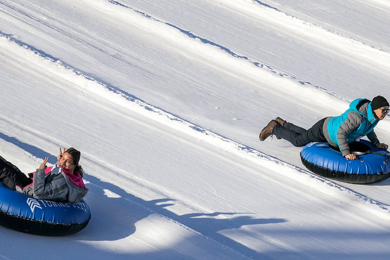 From Yerevan: Day Trip to Tsaghkadzor with Winter Activities Private tour without guide