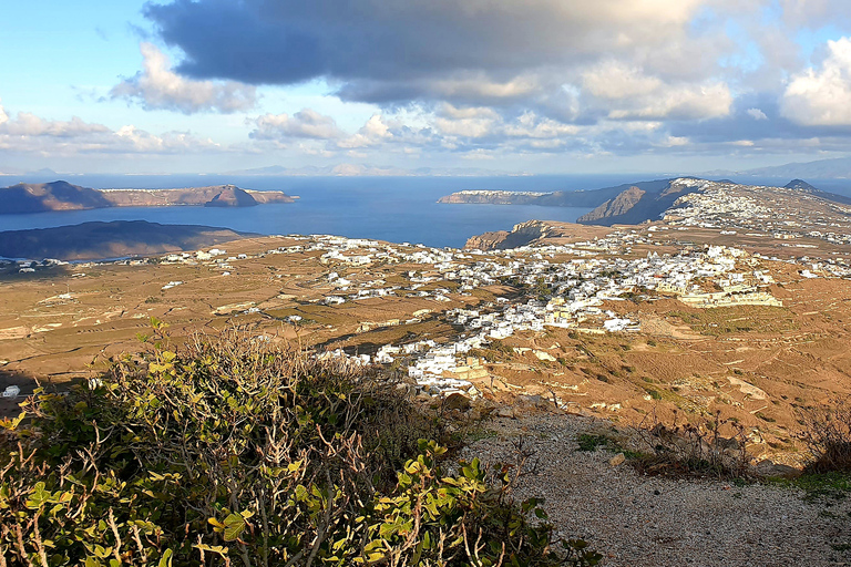 Santorin : Visite guidée de Megalochori et Oia avec dégustation de vins