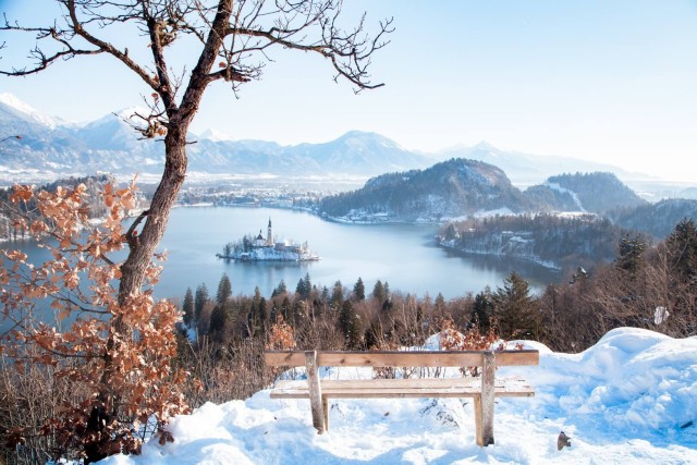 Visit Bled City Highlights Tour with Hiking & Bled Cream Cake in Bled, Slovenia