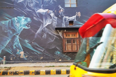 Delhi: arte callejero, antiguo Stepwell y almuerzo del sur de la India